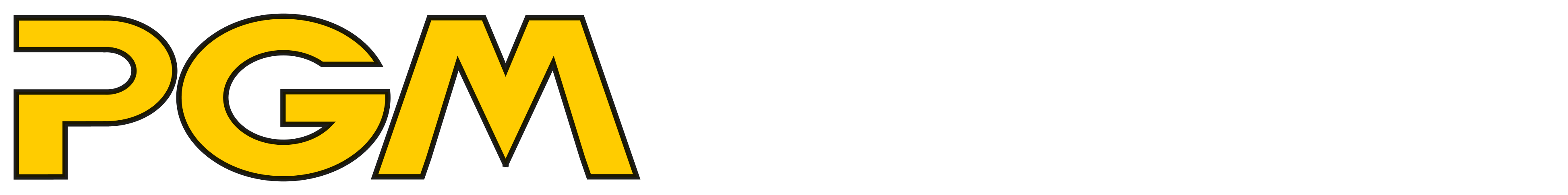 Promoters Group Munich